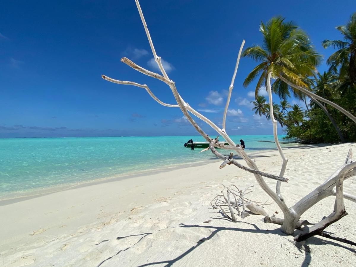 Alimas Holiday Retreat Maldives Felidhoo Buitenkant foto