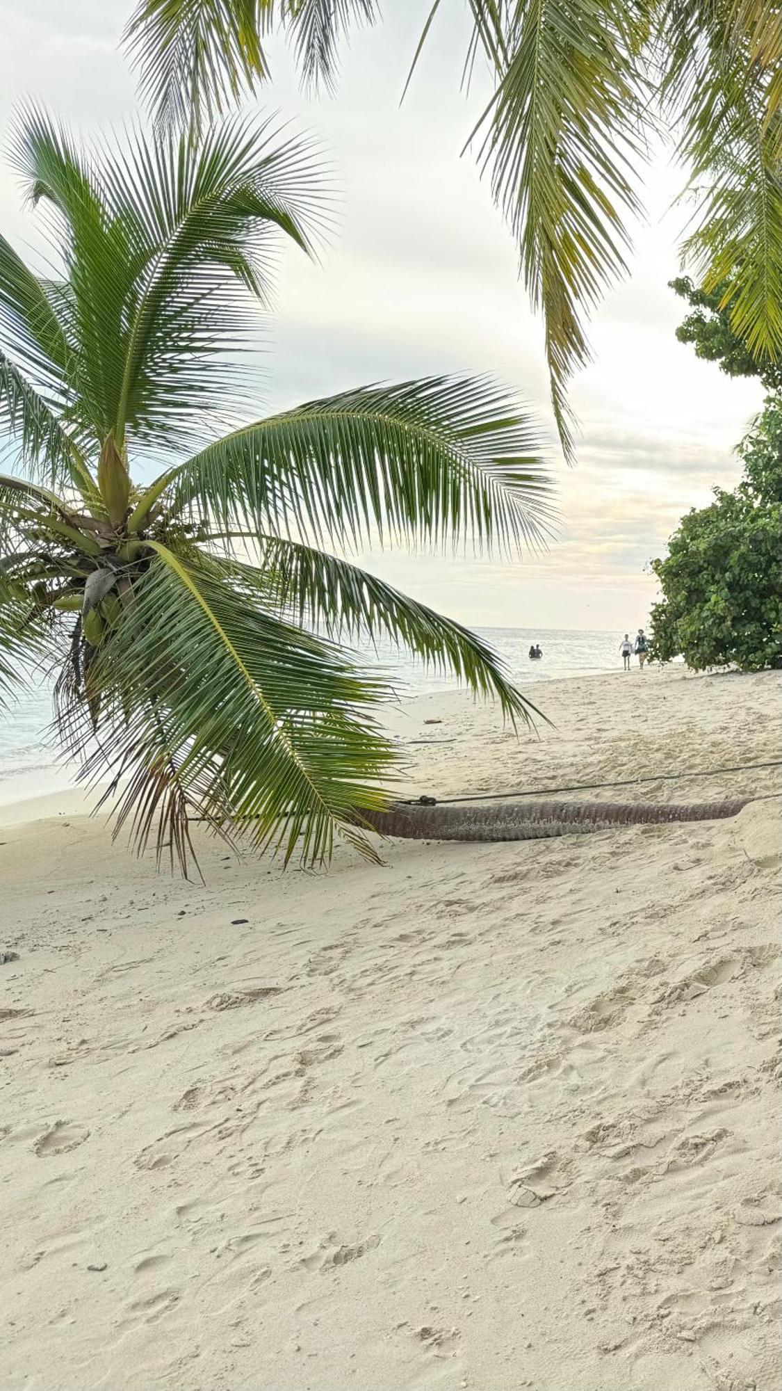 Alimas Holiday Retreat Maldives Felidhoo Buitenkant foto